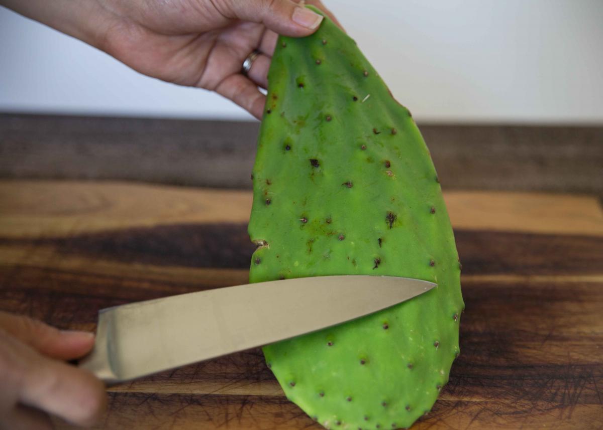 Cactus Cleaner Removing thorns from nopales 