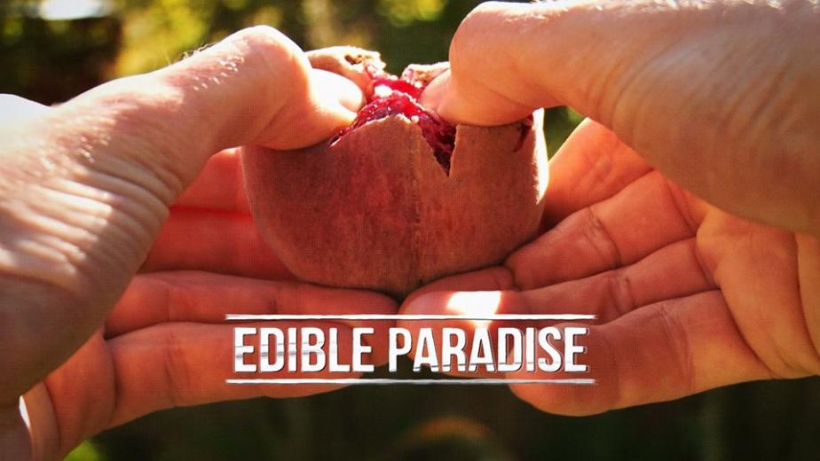 Edible Paradise logo